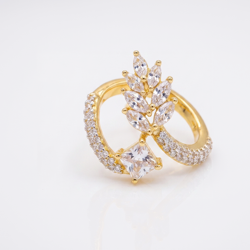 SwarnaSage Marquise and Princess Cut CZ Open-Frame Statement Stud Earring in Gold Plating